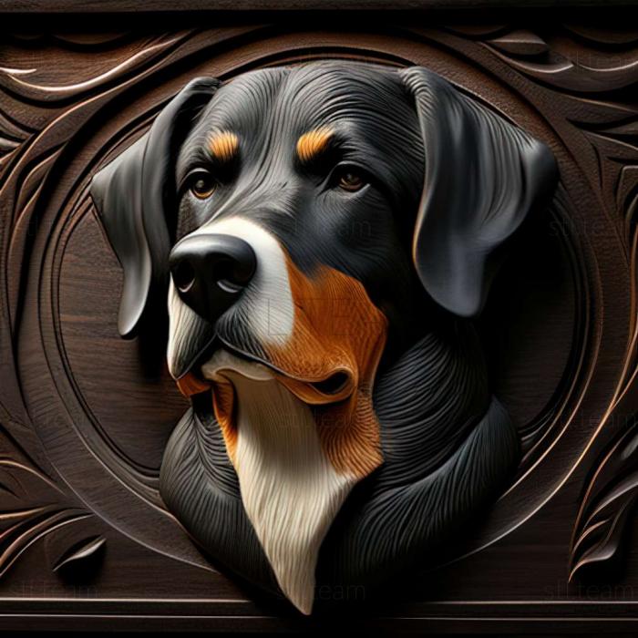 3D model Entlebucher sennenhund dog (STL)